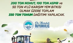 Tohum desteği başlıyor