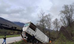 Tokat'ta tır devrildi: 3 kişi yaralandı, 6 hayvan telef oldu