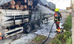 Tomruk yüklü TIR dorsesi alevel alev yandı