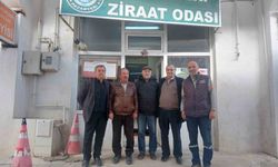 Tütün Pazaryeri'nin geçim kapısı oluyor