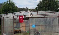 Ülkü Ocakları'ndan özel öğrencilerin okuluna 23 Nisan hediyesi sera