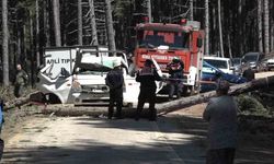 Uludağ'da inanılmaz olay...Kesilen ağaç seyir halindeki kamyonetin üzerine devrildi: 1 ölü