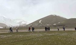 Üniversite öğrencilerinden çiğdemler arasında doğa yürüyüşü