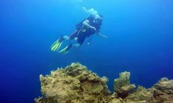 Van Gölü'nün mikrobiyalitleri Guinness için ön elemeyi geçti