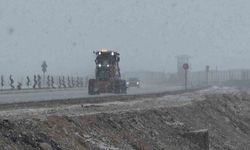 Van'da nisan karı: 93 yerleşim yerinin yolu kapandı, İzmir uçağı inemedi