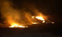 Van'da sazlık alanda yangın çıktı