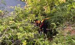 Yayladağı'nda gölete düşen büyükbaş hayvan kurtarıldı