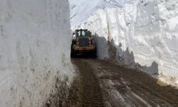 Yüksekova'da nisan ayında 6 metrelik kar tünelleri