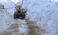 Yurda bahar geldi, Ovacık'ta karla mücadele sürüyor