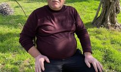 Zeytin bahçesinde çalışırken kalbine yenildi