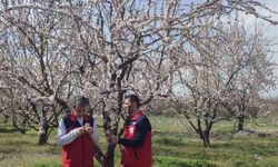 Zirai don uyarısı sonrası hasar tespit çalışması yapıldı