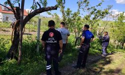 Akyurt'ta kaçan kurbanlık dana yakalandı