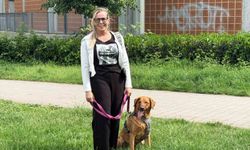 Almanya'da köpek sahiplerine sigorta şartı
