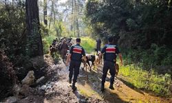Antalya'da sürüden ayrılıp kaybolan 41 keçi jandarma tarafından bulundu