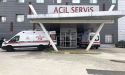 Arı saldırısına uğrayan yaşlı çift hastanelik oldu