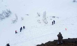 Artvin'de çığ altında kalan çoban 122 gündür kayıp: Arama çalışmaları yeniden başladı