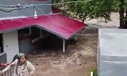 Aşırı yağışla birlikte taşan dere evleri su altında bıraktı