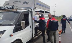 Aydın'da Kurban Bayramı öncesi yol denetimleri artırıldı