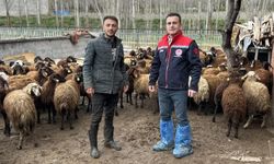 Aydıntepe'de kırsal üretimi destekleyen projede kontroller sürüyor