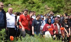 Bartın'da gençler ilk kez aşk acısını dindiren şelaleyi gördü