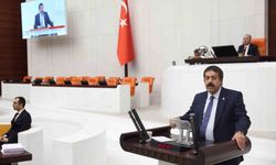 Başıboş sokak köpekleri için Erzurum modeli önerisi