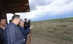 Başkan Büyükkılıç: 'Sultan Sazlığı yeniden canlandı'