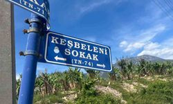 Belediye çalışanlarından örnek davranış: Çöp konteynerinde ölüme terk edilen kaplumbağayı kurtardılar