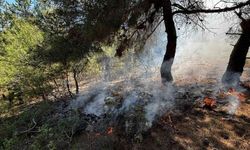 Bilecik'te ormanlık alanda yangın çıktı