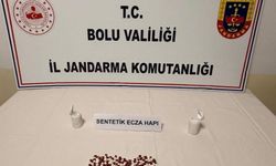 Bolu'da jandarmadan uyuşturucu operasyonu: 1 tutuklama