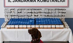 Bolu'da kaçakçılık operasyonu: 2 gözaltı