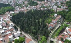 Bursa'da mezarlıklar bayrama hazır
