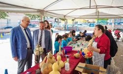 Çameli Masal Festivali coşkuyla tamamlandı