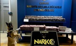 Çankırı'da uyuşturucu operasyonu: 85 bin adet hap ele geçirildi
