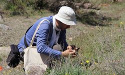 Darende'de flora projesi için ilk saha çalışması tamamlandı