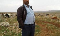 Devrilen traktörün altında kalan sürücü hayatını kaybetti