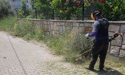 Didim Belediyesi ekipleri ilçe genelinde çalışmalarını sürdürüyor
