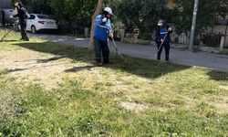 Didim Belediyesi ekipleri ilçe genelindeki çalışmalarını sürdürüyor