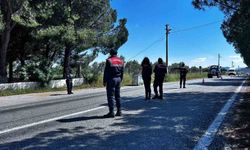 Didim'de kurbanlık denetimi