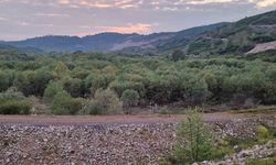 Düzce'de rafting botundan düşen kadının cansız bedeni Sakarya'da bulundu
