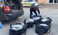 Edirne'de Moldova plakalı araçta 90 kilo skunk ele geçirildi