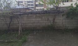 Erciş'te şiddetli yağmur yağışı