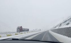 Erzincan'ın yüksek kesimlerinde kar yağışı etkili oldu