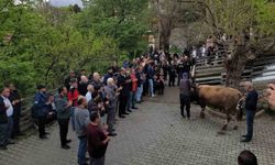 Geçmişten günümüze: Kemaliye'de şükür kurbanı
