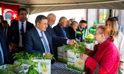 Gölbaşı'nda vatandaşlara 190 bin ata tohumu fidesi dağıtıldı