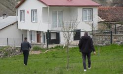 Gümüşhane'de ayılar yaylalardan sonra köyleri mesken edindi: Vatandaşlar tedirgin