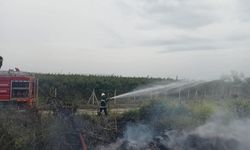 Hassa'da zeytinlik yangını