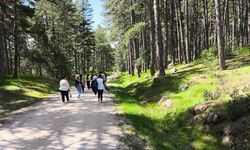 Hisarcık'ta özel öğrencilerinde katıldığı doğa yürüyüşü