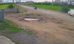 Iğdır'da kontrolden çıkan motosiklet direğe çarptı: 1 yaralı