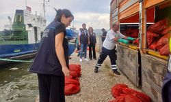 İzmir'de yasa dışı su ürünleri avcılarına ağır darbe: 7 ton kaçak midye ele geçirildi