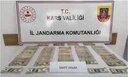 Kars'ta bayram öncesi sahte para operasyonu: 2.3 Milyon TL'lik sahte dolarla yakalandılar